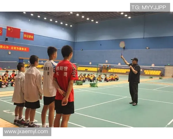 广州羽毛球队个人能力分析与发展策略探讨