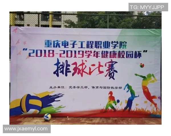 重庆排球队运营策略深度分析与发展前景展望