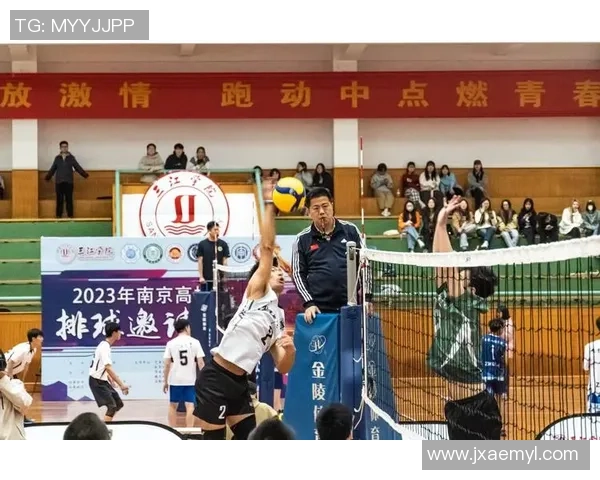 深圳排球队在全国排球团队协作排行榜中荣获第十名的佳绩分析